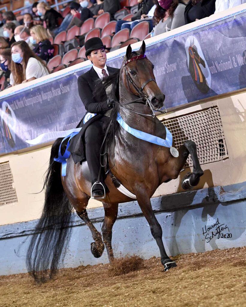 Rushton Stables rider showing an English pleasure horse