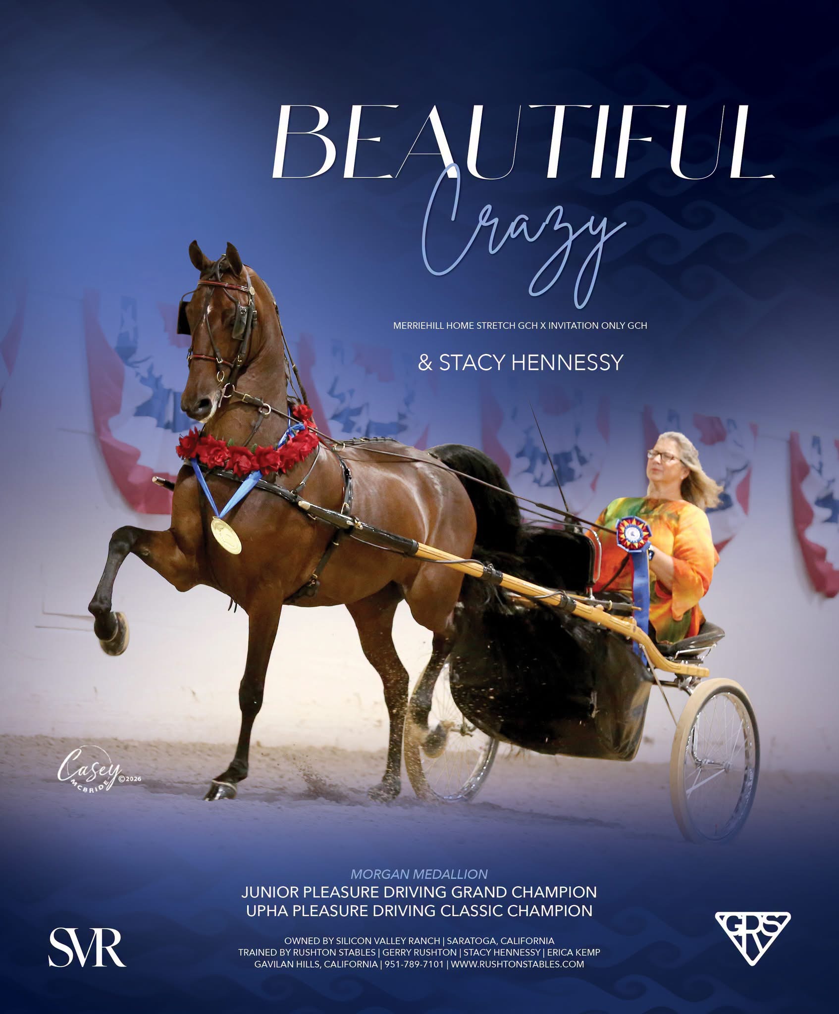 Beautiful Crazy and Stacy Hennessy, Morgan Medallion Junior Pleasure Driving Grand Champion