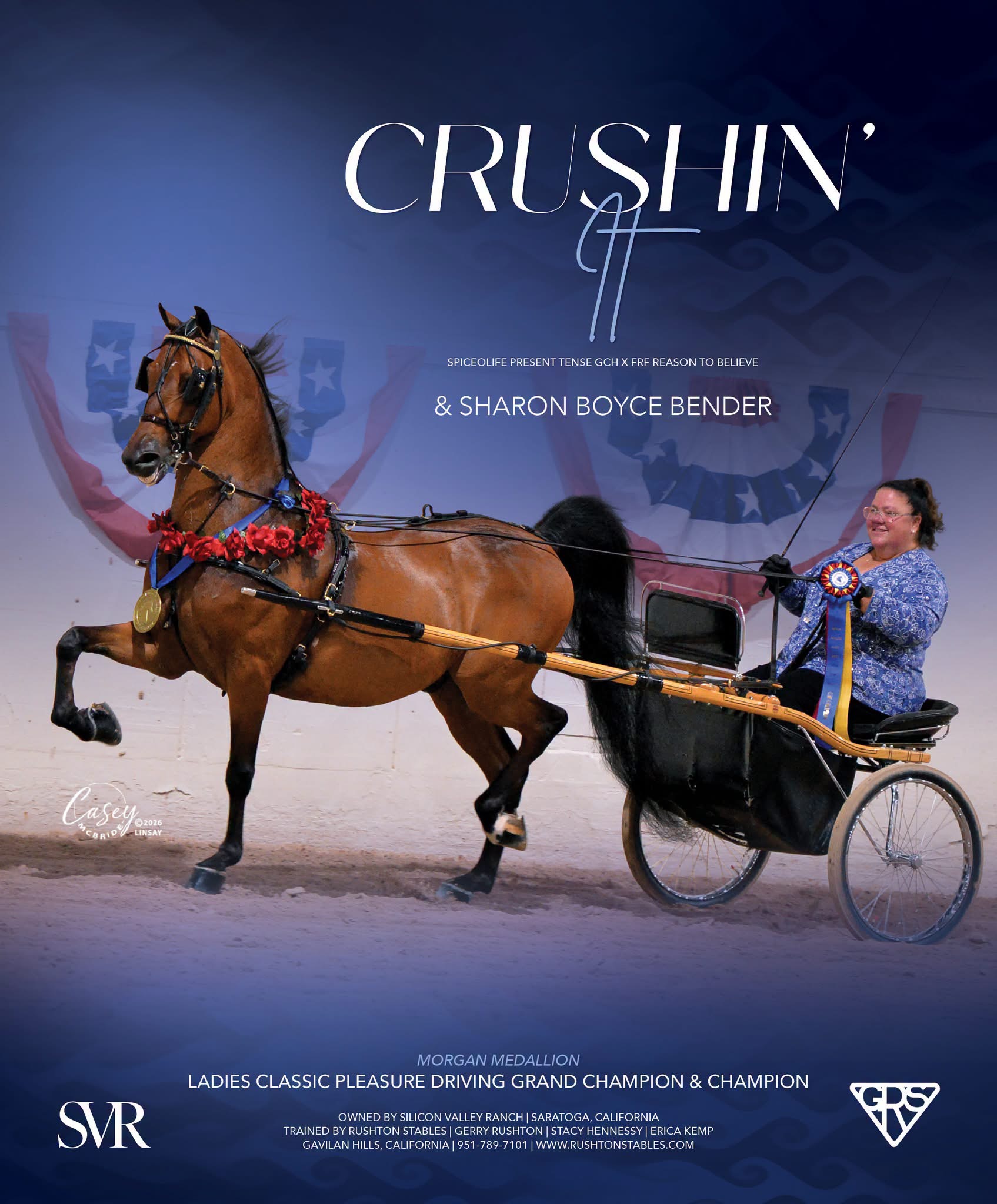 Crushin' It and Sharon Boyce Bender, Morgan Medallion Ladies Classic Pleasure Driving Grand Champion