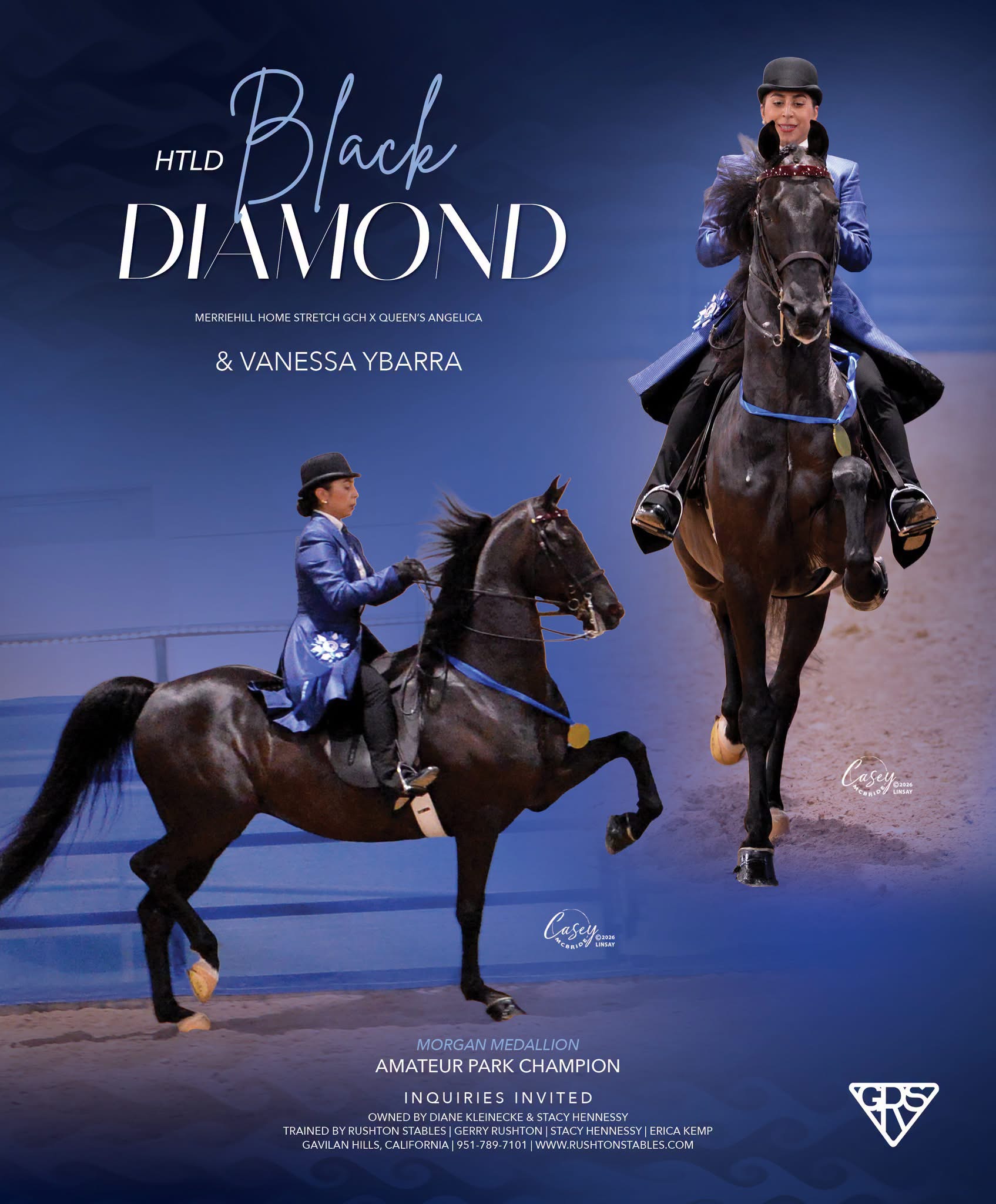 HTLD Black Diamond and Vanessa Ybarra, Morgan Medallion Amateur Park Champion