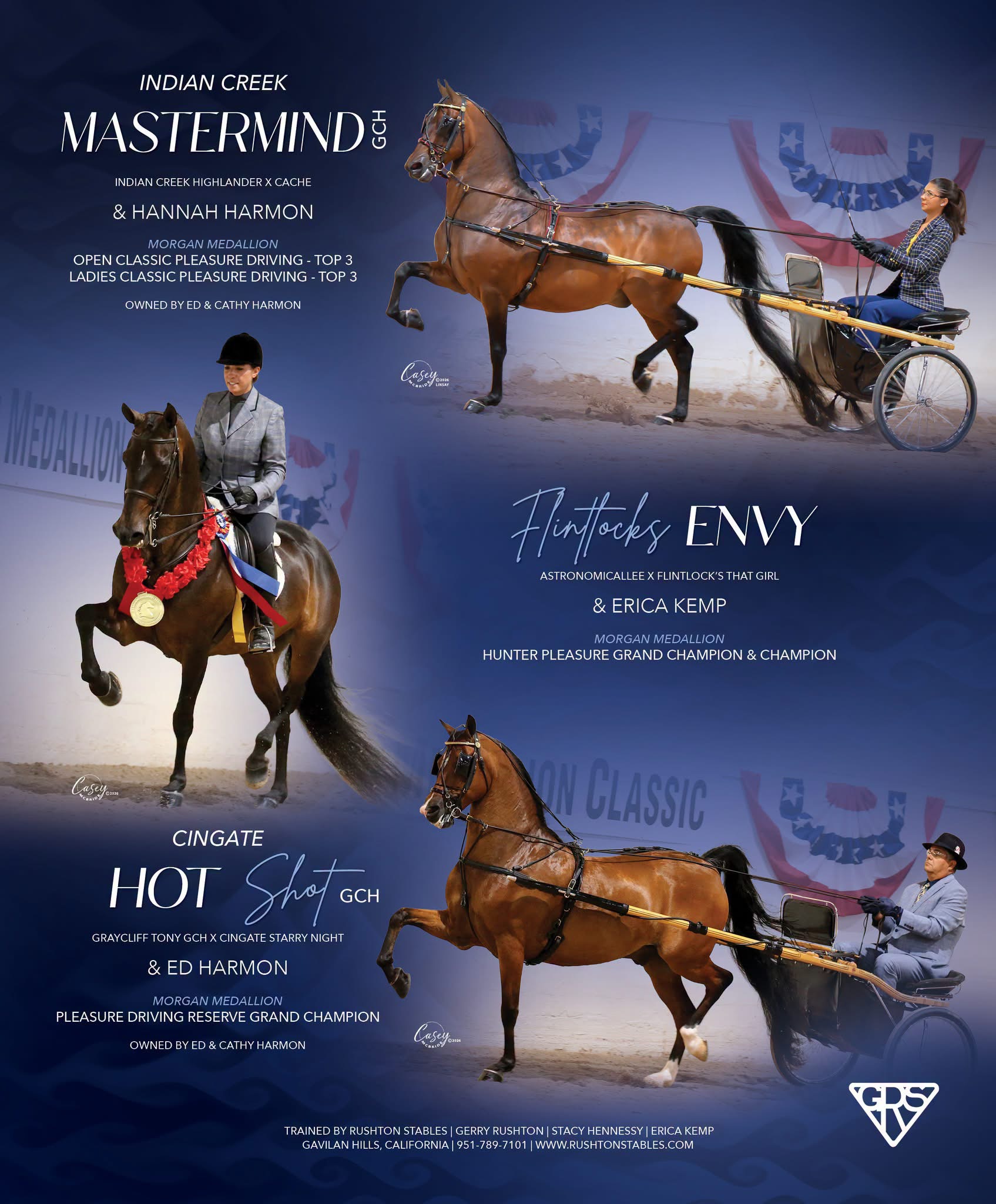 Indian Creek Mastermind GCH with Hannah Harmon, Flintlock's Envy with Erica Kemp, and Cingate Hot Shot GCH with Ed Harmon