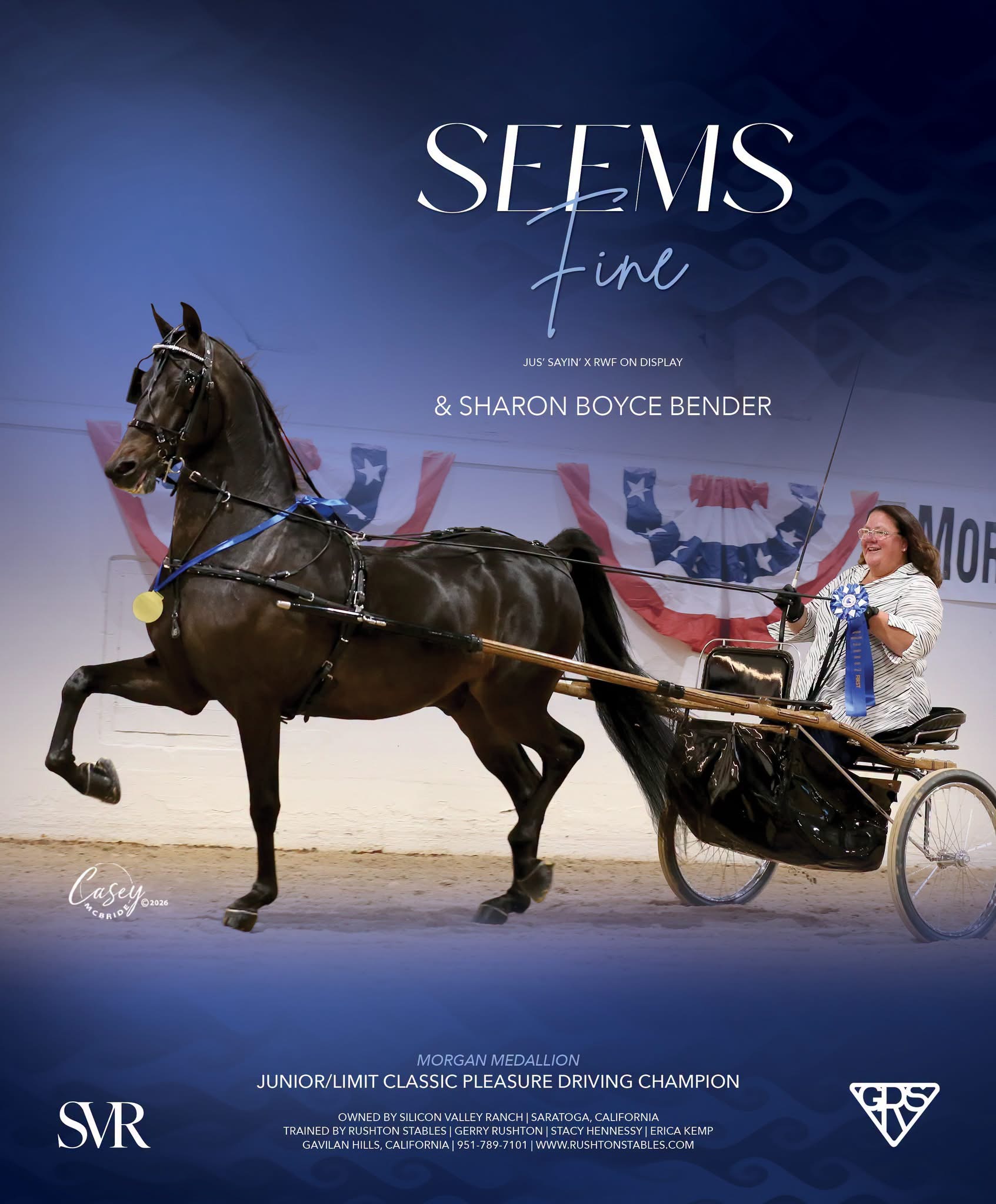 Seems Fine and Sharon Boyce Bender, Morgan Medallion Junior and Limit Classic Pleasure Driving Champion