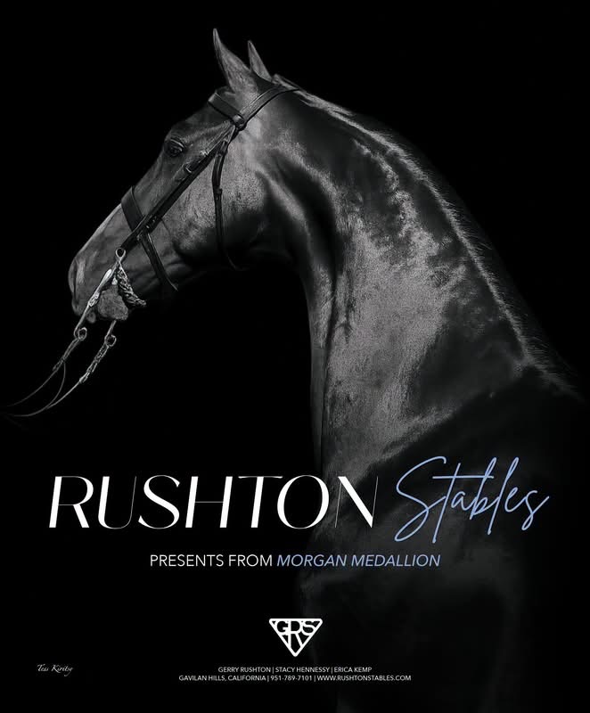 Rushton Stables presents its current show horses from Morgan Medallion