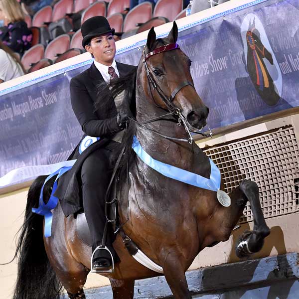 A Rushton Stables rider showing a trained horse in the ring