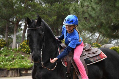 Young rider with a lesson horse at Rushton Stables